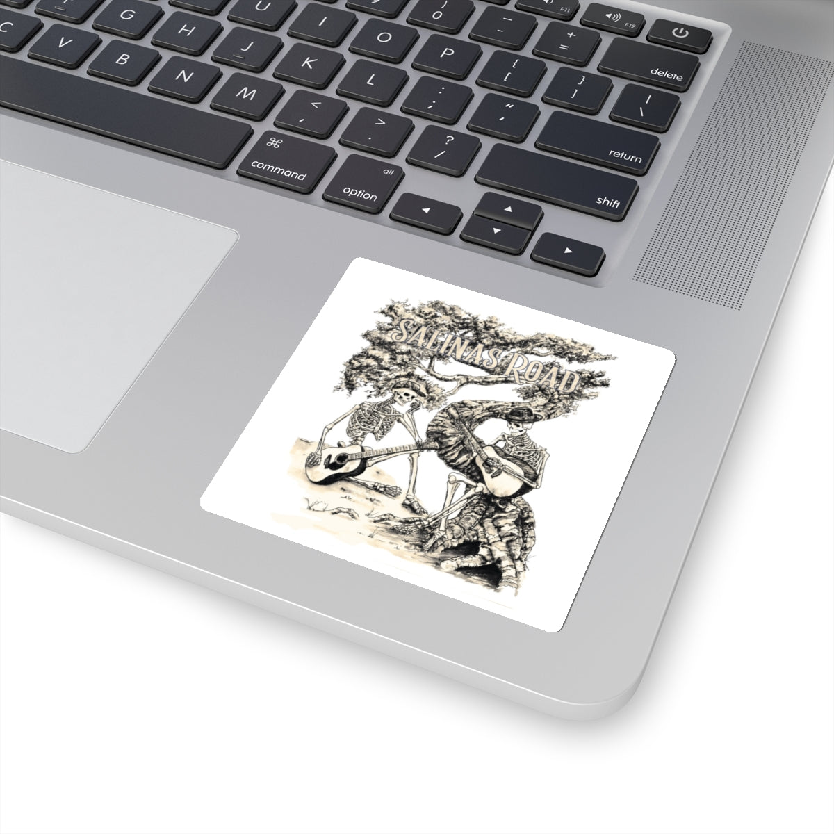 Salinas Road / Ron Hughes | skeleton stickers