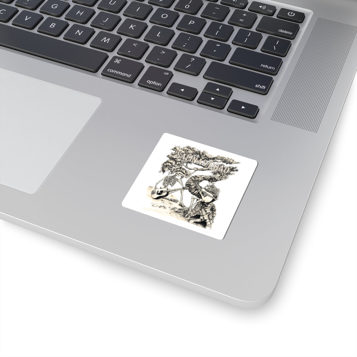 Salinas Road / Ron Hughes | skeleton stickers